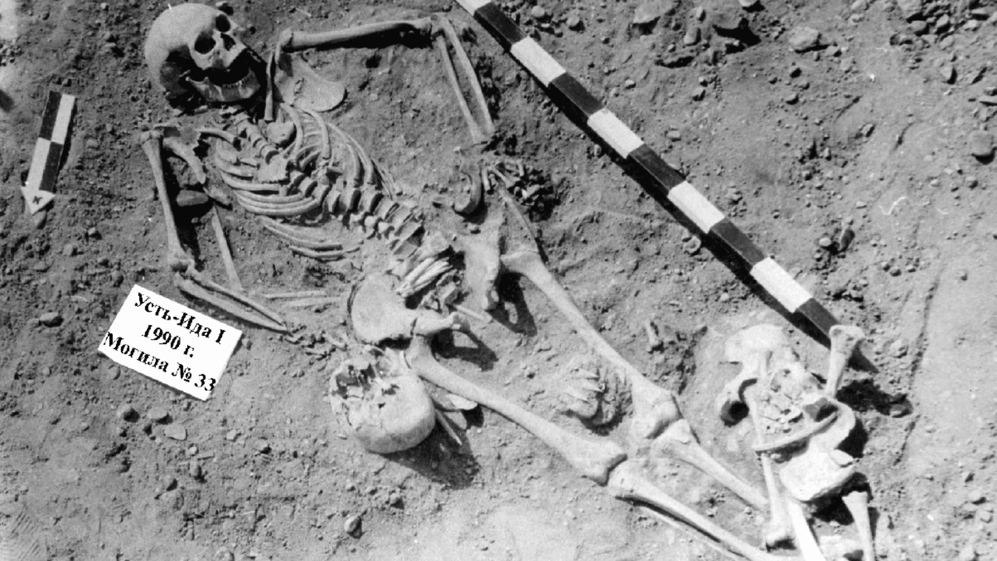 Plague Plagued Humanity 5,500 Years Earlier Than We Thought