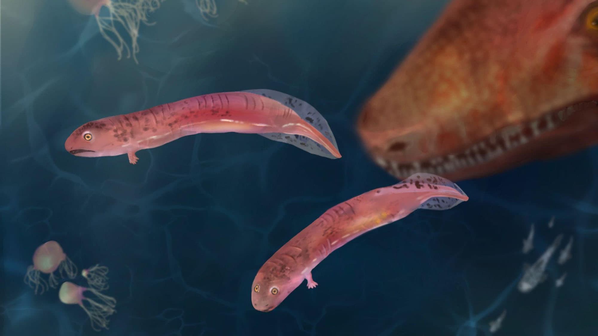Ancient Fossils Upend Everything We Thought About Land Evolution