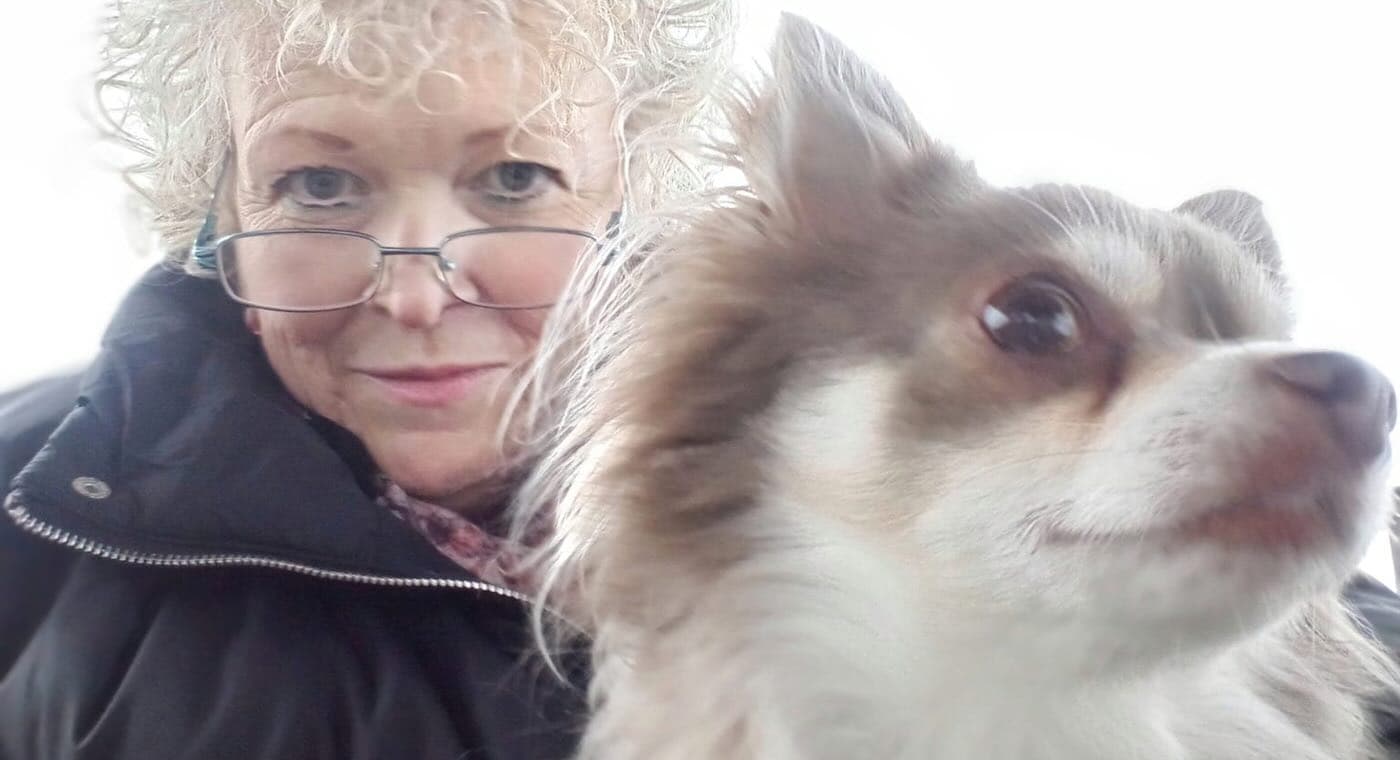 Loyal Chihuahua's Nudge Saves Owner's Life